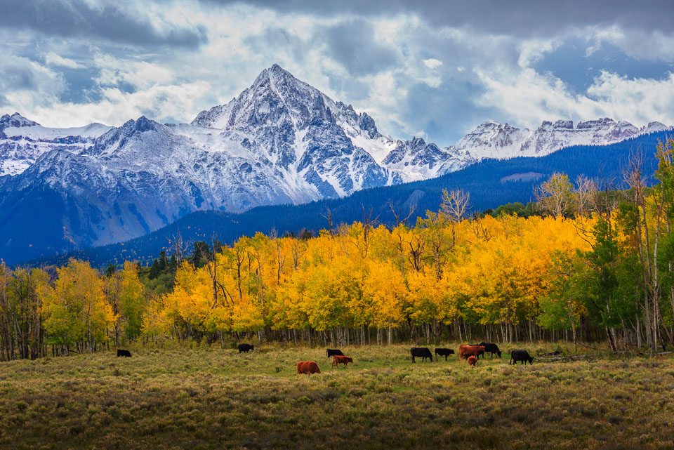 Dallas Divide, near Ridgway