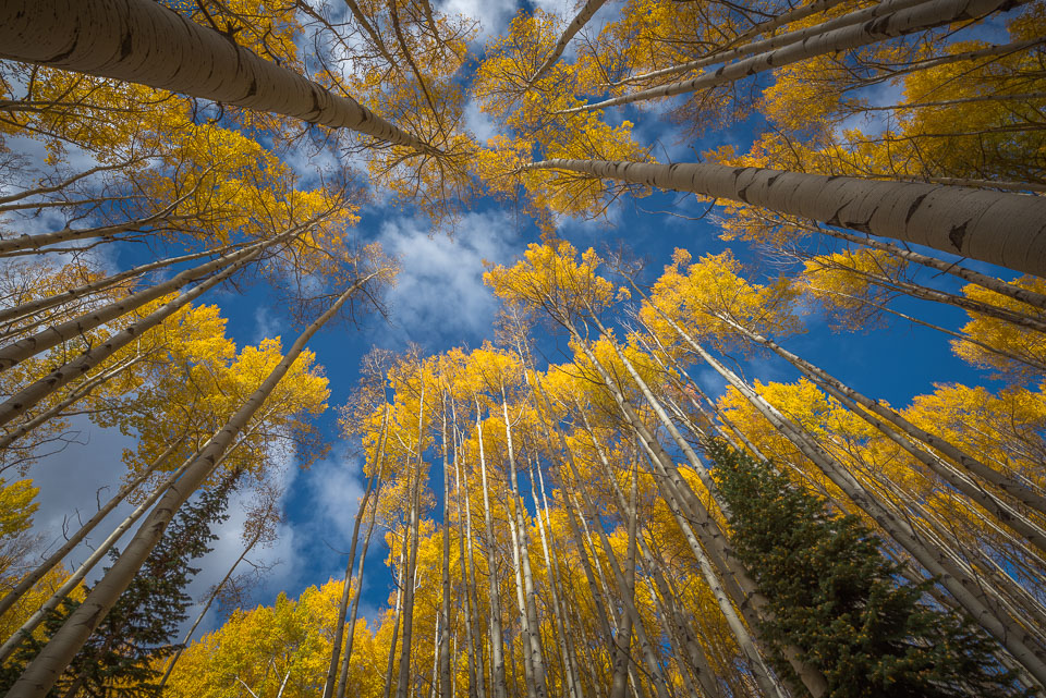 Crested Butte