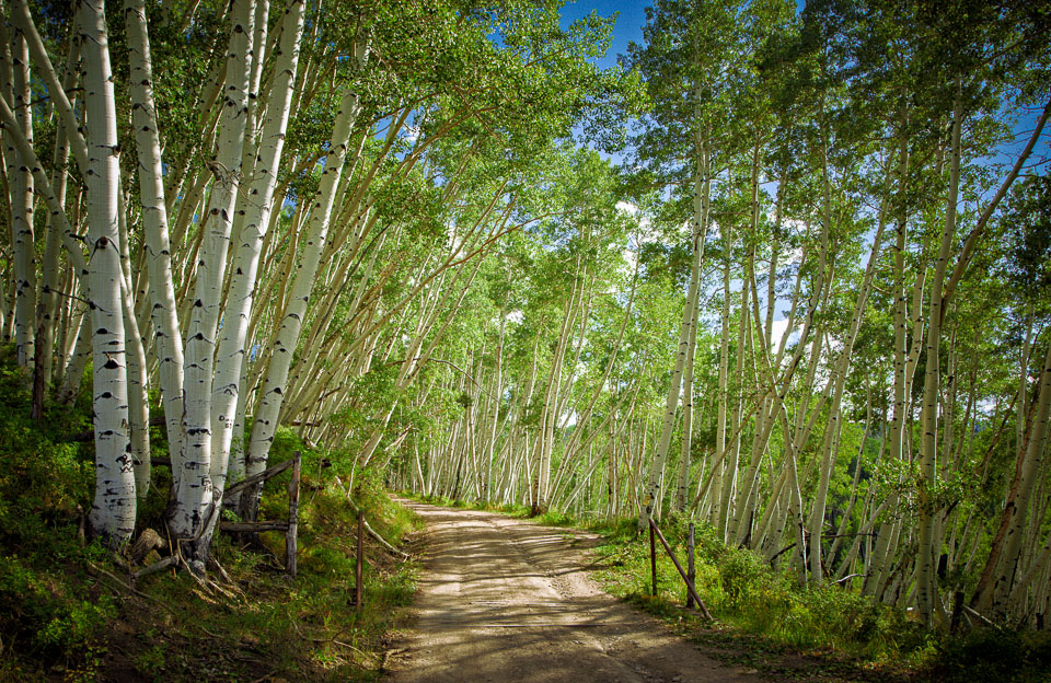 Telluride