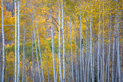 Crested Butte