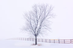Heartland Winter Scenes Heartland Winter Scenes