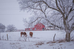 Iowa