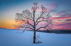 Iowa Winter Scenes