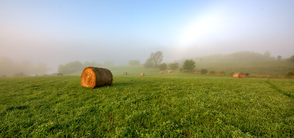 124111_v1.jpg