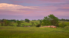 Pastoral Scenes