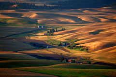 The Palouse