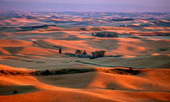 The Palouse