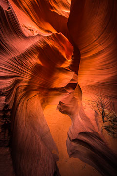 Antelope Canyon