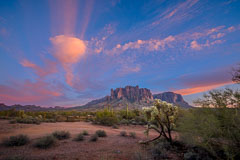 Arizona Desert