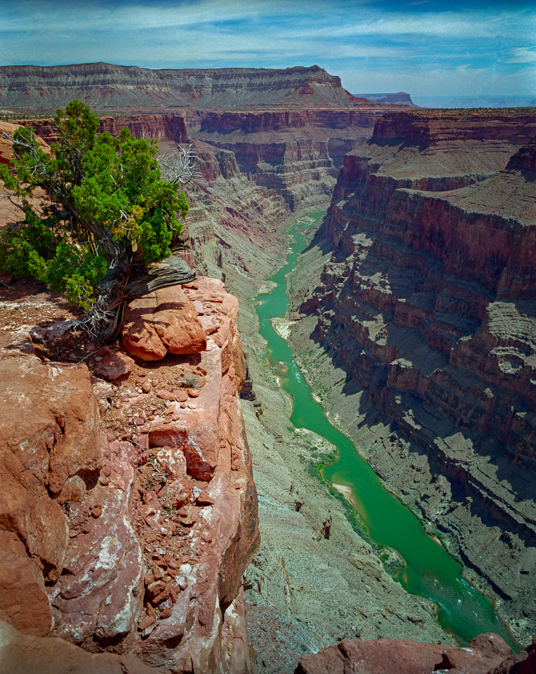 Grand Canyon North Rim, View from Toroweap Overlook