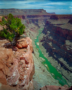 Grand Canyon North Rim, View from Toroweap Overlook