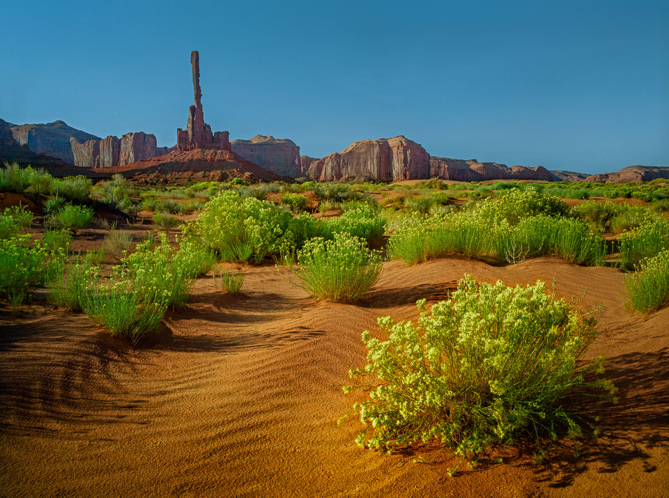 Sand Dunes at Monument Valley