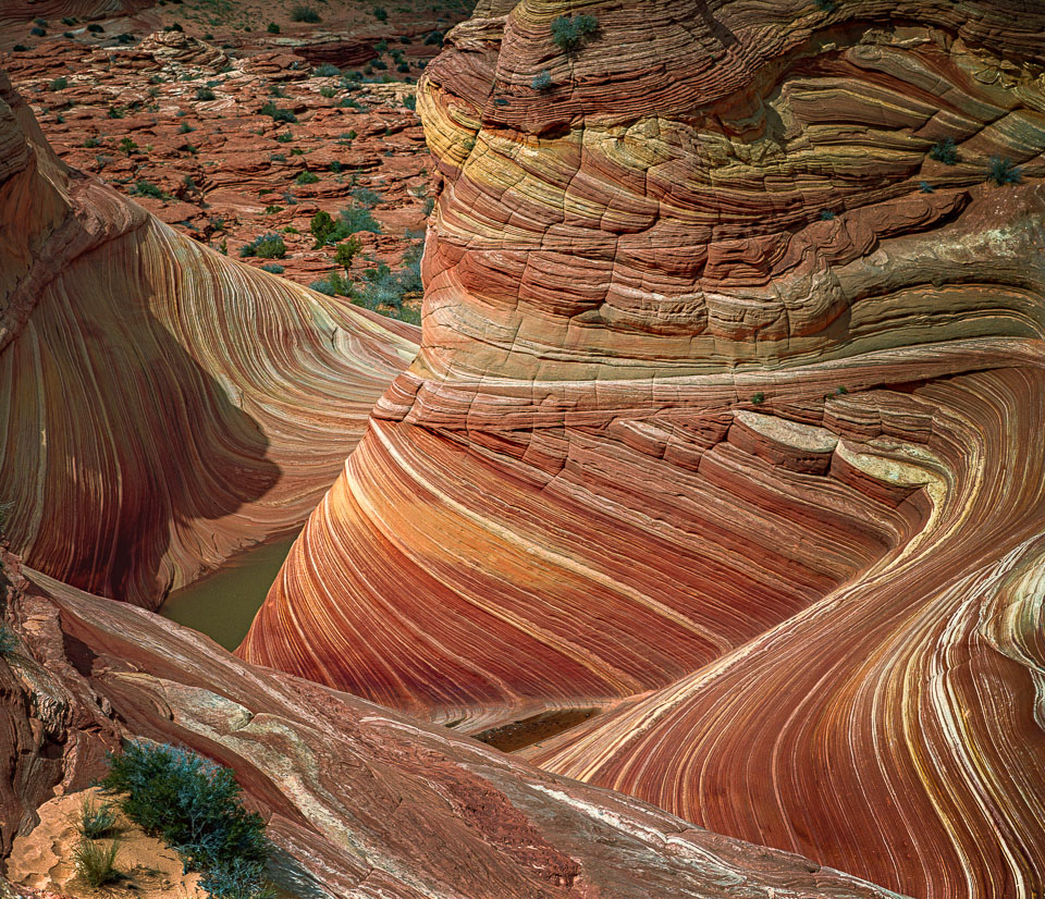 Layers of time. The Wave. Northern Arizona.