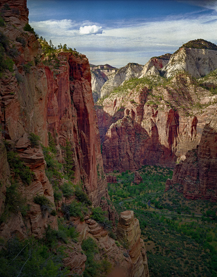 Zion Canyon, View from Angels Landing Trail