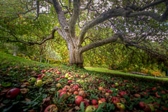 Bountiful. Vermont