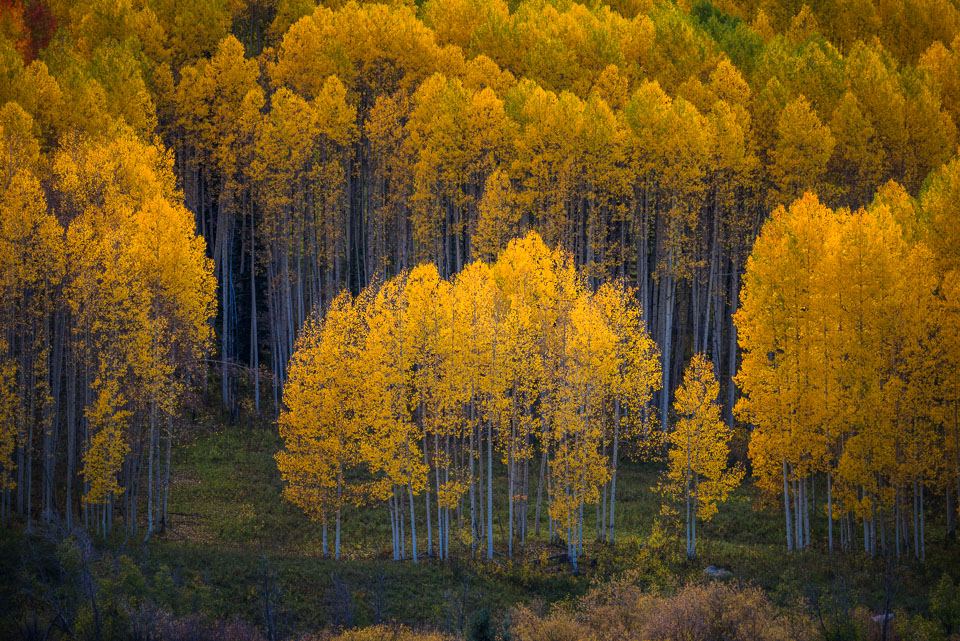 Golden family. Crested Butte, Colorado.