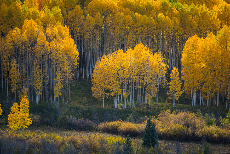 Crested Butte