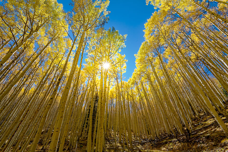 Crested Butte