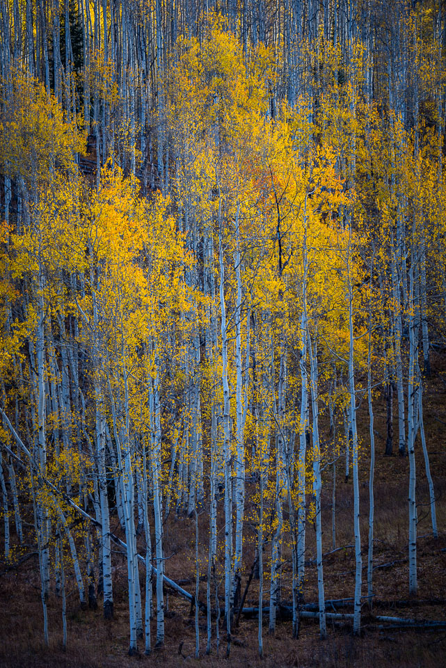 Crested Butte