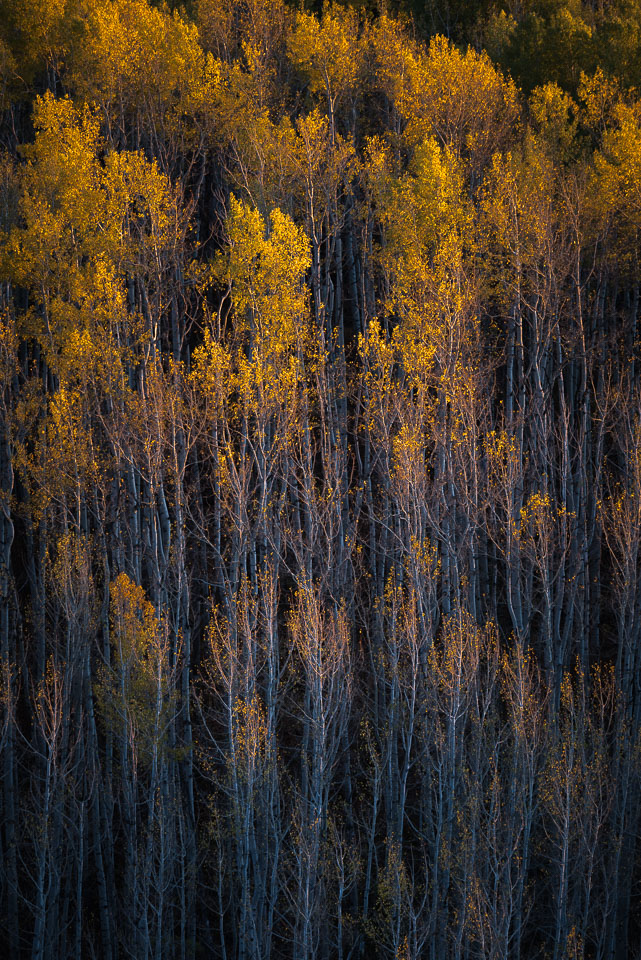 Crested Butte