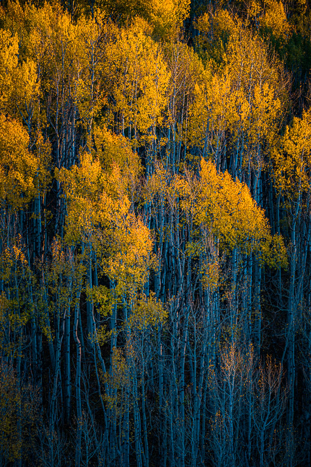 Crested Butte