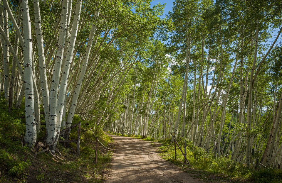 Telluride