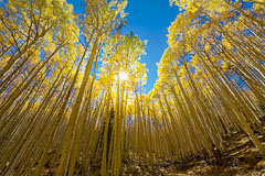 Crested Butte