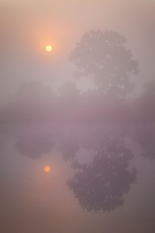 Reflecting. The Midwest.