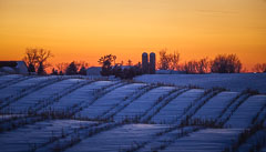 Winter Scenes