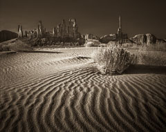 The Sand Dunes. Monument Valley. Navajo Nation, Arizona.