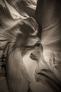 Antelope Canyon