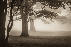 Blue Ridge Mountains