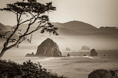 Oregon Coast