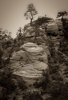 Sandstone Fomation, Zion Plateau