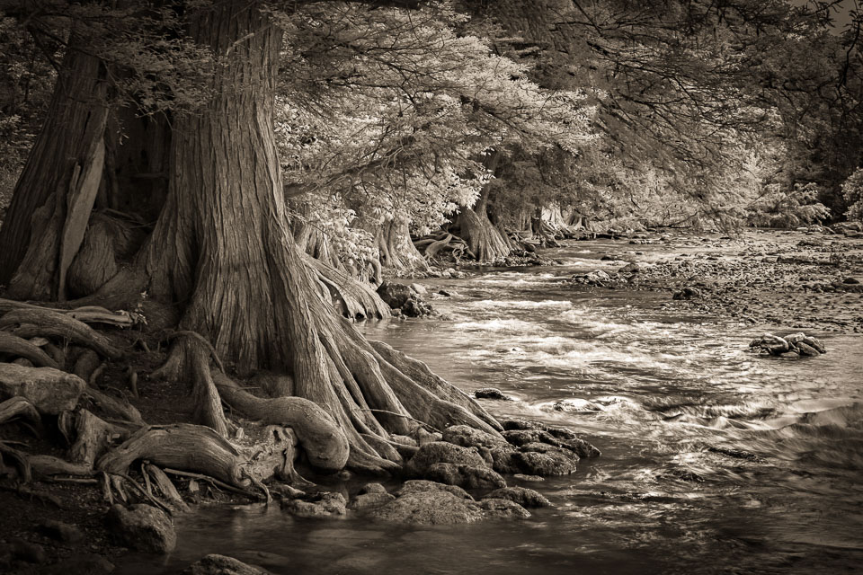 Guadalupe Rapids. Texas Hill Country.