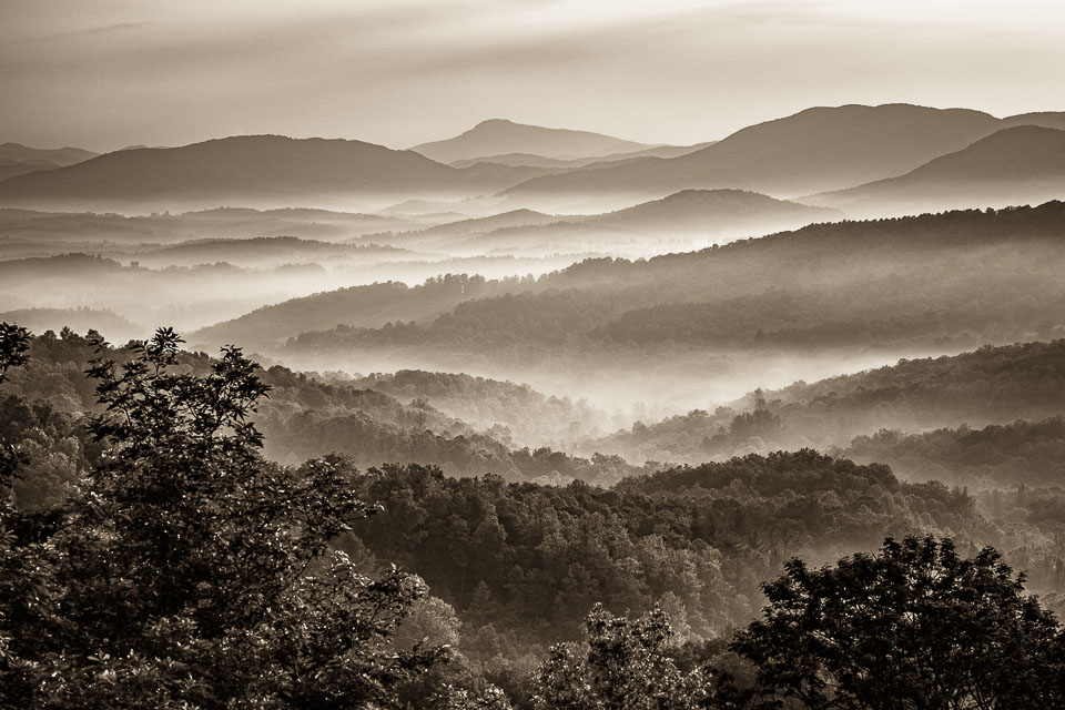 Misty Morning Along the Parkway