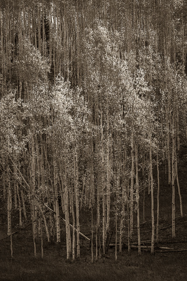 Crested Butte