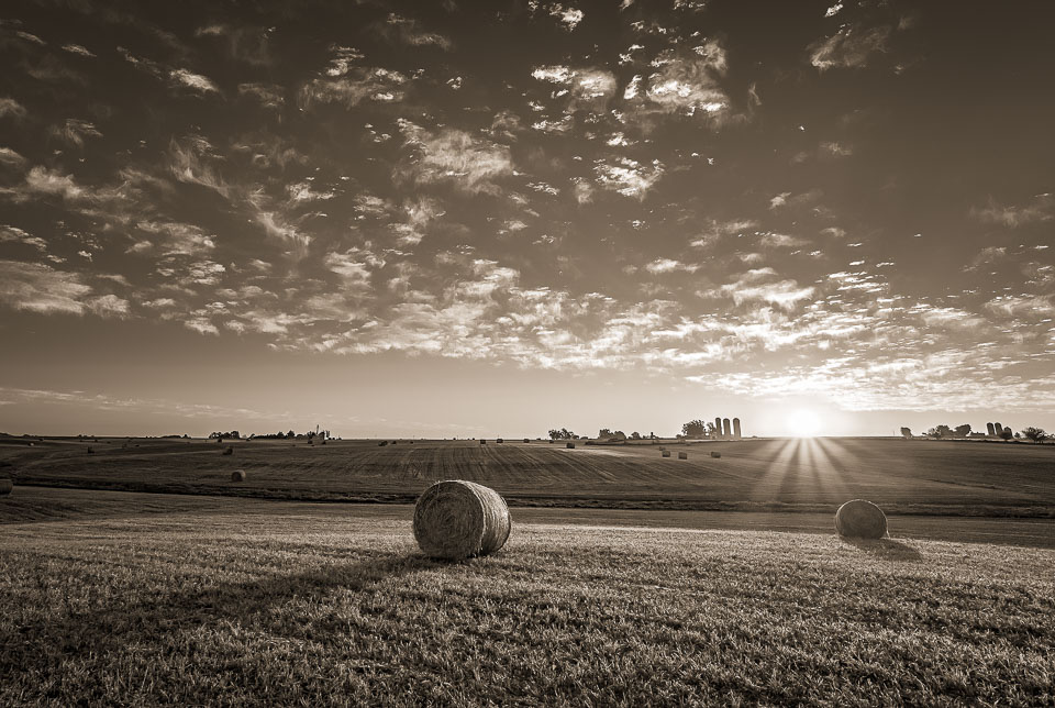 Farm surise