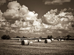 The Heartland The Heartland