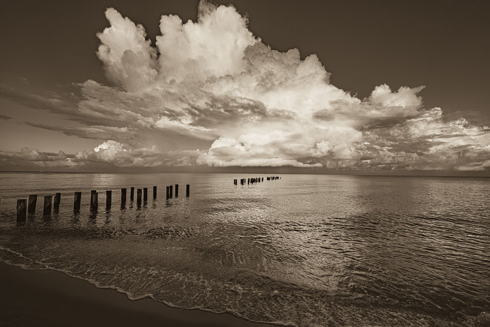 Majestic Morning. Naples, Florida.