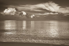 Images by Location