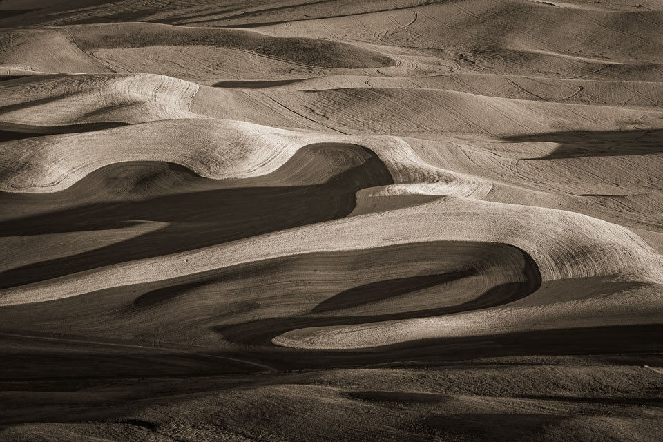 Wheat fields of the Palouse