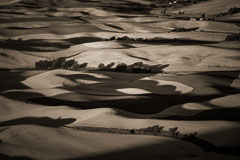 Wheat fields of the Palouse