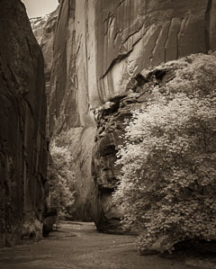 Buckskin Gulch