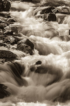 Yellowstone