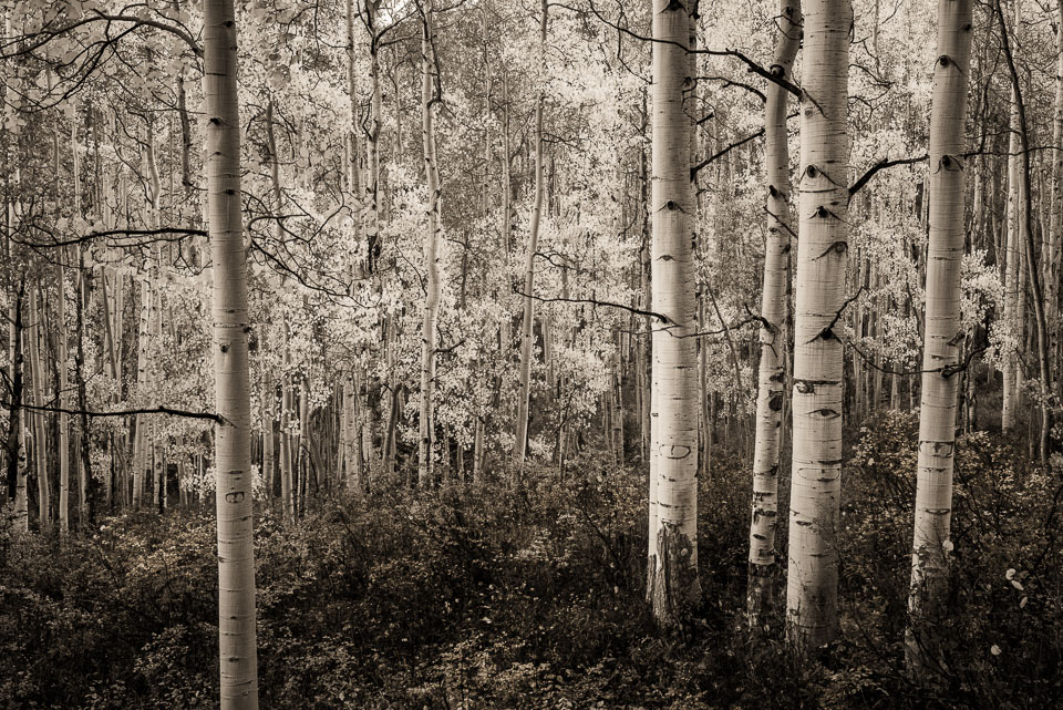 Crested Butte