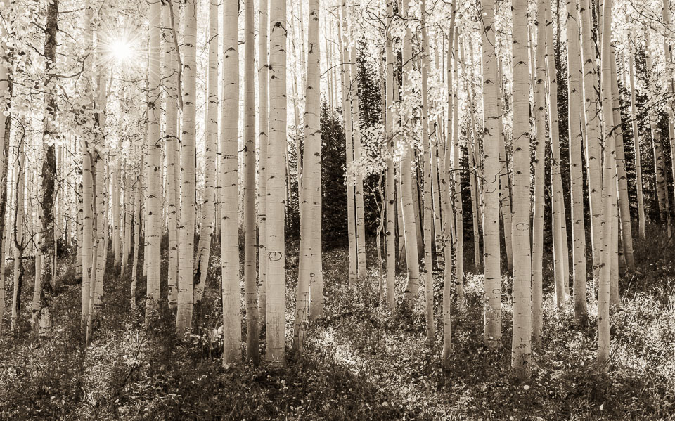 Crested Butte