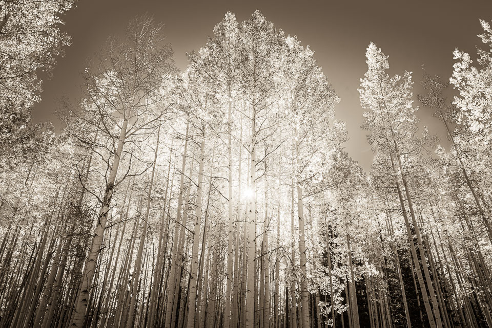 Crested Butte