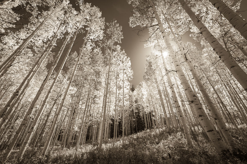 Crested Butte