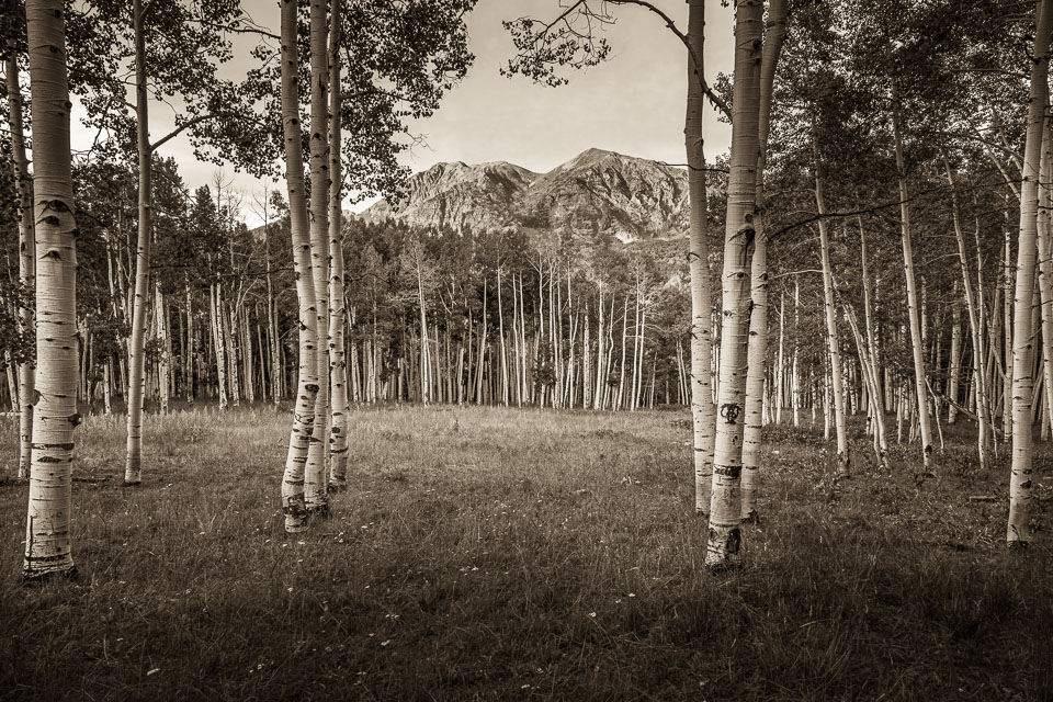 Crested Butte